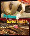 Pythons and Garter Snakes (Big Animals) By Henry Thatcher Cover Image
