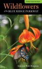 Wildflowers of the Blue Ridge Parkway: A Pocket Field Guide (Wildflowers in the National Parks) Cover Image