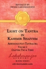 Light on Tantra in Kashmir Shaivism - Volume 2 By Swami Lakshmanjoo, John Hughes (Editor) Cover Image