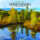 Wisconsin Wild & Scenic 2023 Square By Browntrout (Created by) Cover Image