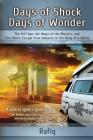 Days of Shock, Days of Wonder: The 9/11 Age, the Ways of the Mystics, and One Man's Escape from Babylon in the Belly of a Whale By Rafiq Cover Image