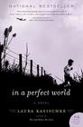 In a Perfect World: A Novel By Laura Kasischke Cover Image