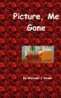 Picture, Me Gone Cover Image