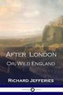 After London: Or, Wild England - A Victorian Classic of Post-Apocalyptic Science Fiction By Richard Jefferies Cover Image