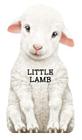 Little Lamb (Mini Look at Me Books) By Laura Rigo (Illustrator) Cover Image