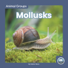 Mollusks By Dalton Rains Cover Image
