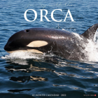 Orca (Journey with The) 2022 Wall Calendar Cover Image