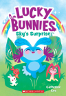 Sky's Surprise (Lucky Bunnies #1) By Catherine Coe, Chie Boyd (Illustrator) Cover Image