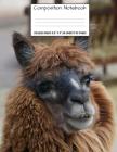 Composition Notebook: College Ruled Alpaca Cute Composition Notebook, Girl Boy School Notebook, College Notebooks, Composition Book, 8.5