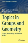Topics in Groups and Geometry: Growth, Amenability, and Random Walks (Springer Monographs in Mathematics) By Tullio Ceccherini-Silberstein, Michele D'Adderio, Efim Zelmanov (Foreword by) Cover Image