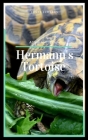 Hermann's Tortoise: All you need to know Cover Image