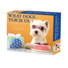What Dogs Teach Us 2025 6.2 X 5.4 Box Calendar By Willow Creek Press Cover Image
