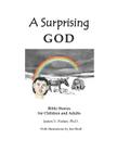 A Surprising God: Bible Stories for Children and Adults By Jim Shull (Illustrator), James V. Parker Ph. D. Cover Image