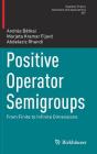 Positive Operator Semigroups: From Finite to Infinite Dimensions (Operator Theory: Advances and Applications #257) By András Bátkai, Marjeta Kramar Fijavz, Abdelaziz Rhandi Cover Image