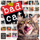 Bad Cat Wall Calendar 2022 By Workman Calendars Cover Image