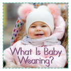 What Is Baby Wearing? (Baby Firsts) By Flowerpot Press (Designed by) Cover Image
