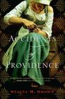 Accidents Of Providence By Stacia Brown Cover Image