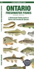 Ontario Fishes: A Folding Pocket Guide to All Known Native and Introduced Freshwater Species (Pocket Naturalist Guide) By Matthew Morris Cover Image