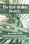 The Scar-Healing Process: How To Promote Healing By Meditation And Breathing Techniques: Importance Of Natural Therapies By Zofia Dobry Cover Image