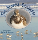 The Bravest Sandpiper Cover Image