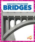 Bridges (Amazing Structures) By Rebecca Pettiford Cover Image