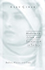 Modernity, Islam, and Secularism in Turkey: Bodies, Places, and Time (Public Worlds #14) By Alev Cinar Cover Image