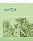 Little Wolf Cover Image