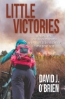 Little Victories By David J. O'Brien Cover Image