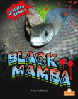 Black Mamba By Amy Culliford Cover Image