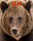 Bear: Amazing Facts & Pictures By Pam Louise Cover Image