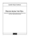 Fields from the Sea (Studies on Southeast Asia #12) By Jennifer Cushman Cover Image