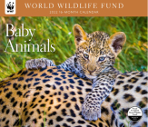 Baby Animals WWF 2022 Wall Calendar Cover Image