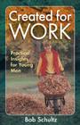 Created for Work: Practical Insights for Young Men Cover Image