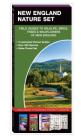New England Nature Set: Field Guides to Wildlife, Birds, Trees & Wildflowers of New England Cover Image