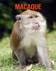 Macaque: Amazing Facts about Macaque By Devin Haines Cover Image