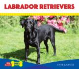 Labrador Retrievers (Big Buddy Dogs) By Katie Lajiness Cover Image