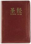 Chinese Contemporary Bible-FL By Zondervan Cover Image