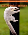 Kurzkopfgleitbeutler: Ein Bilderbuch mit lustigen Fakten über Kurzkopfgleitbeutler By Sabine Giordano Cover Image