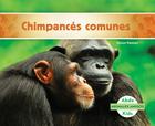Chimpancés Comunes (Chimpanzees) (Spanish Version) (Animales Amigos (Animal Friends)) By Grace Hansen Cover Image