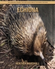 Echidna: An Amazing Animal Picture Book about Echidna for Kids By Heather Marshall Cover Image