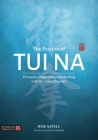 The Practice of Tui Na: Principles, Diagnostics and Working with the Sinew Channels Cover Image