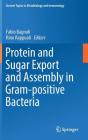 Protein and Sugar Export and Assembly in Gram-Positive Bacteria (Current Topics in Microbiology and Immmunology #404) By Fabio Bagnoli (Editor), Rino Rappuoli (Editor) Cover Image
