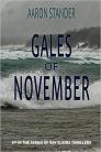 Gales of November: A Ray Elkins Thriller (Ray Elkins Thrillers #9) By Aaron Stander Cover Image