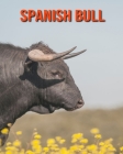 Spanish Bull: Amazing Facts about Spanish Bull By Devin Haines Cover Image