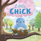 Nature Stories: Little Chick: Padded Board Book By IglooBooks, Gina Maldonado (Illustrator) Cover Image