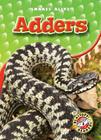 Adders (Snakes Alive) By Ellen Frazel Cover Image