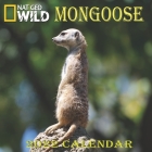 MONGOOSE Calendar 2022: MONGOOSE calendar 2022 