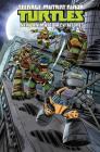 Teenage Mutant Ninja Turtles: New Animated Adventures Volume 3 (TMNT New Animated Adventures #3) By Kenny Byerly, Derek Fridolfs, Landry Walker, Dario Brizuela (Illustrator), Chad Thomas (Illustrator) Cover Image