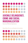 Juvenile Delinquency, Crime and Social Marginalization: Social and Political Implications (Emerald Points) By Miguel Basto Pereira, Ângela Da Costa Maia Cover Image