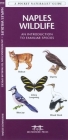 Tampa Bay Birds: A Folding Pocket Guide to Familiar Species Cover Image
